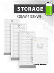 S6 EH3P30K-H-EU and Dyness Stack 100 133 kWh Storage Package