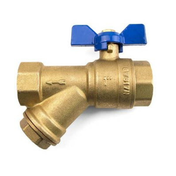 Inta 1 inch y-strainer with isolation valve